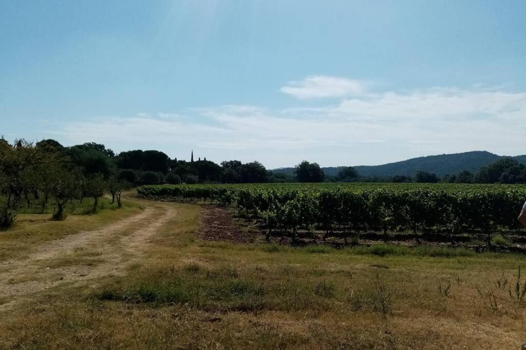 Charmant Appartement T2 Au Coeur Des Vignes Cogolin Exterior foto