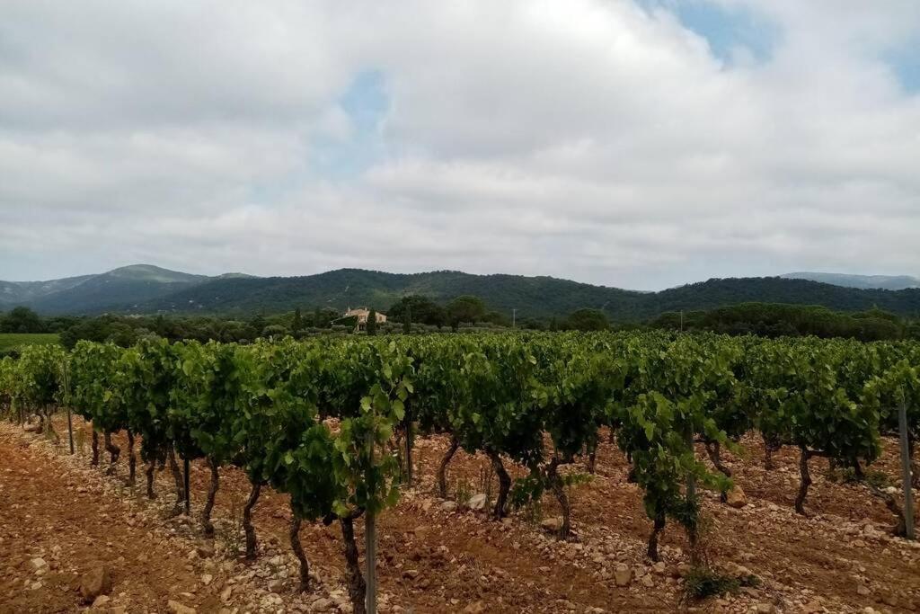 Charmant Appartement T2 Au Coeur Des Vignes Cogolin Exterior foto