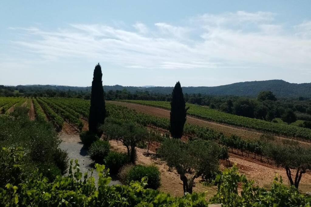 Charmant Appartement T2 Au Coeur Des Vignes Cogolin Exterior foto