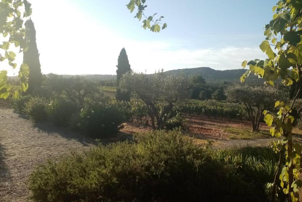 Charmant Appartement T2 Au Coeur Des Vignes Cogolin Exterior foto